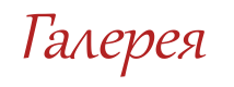 Галерея
